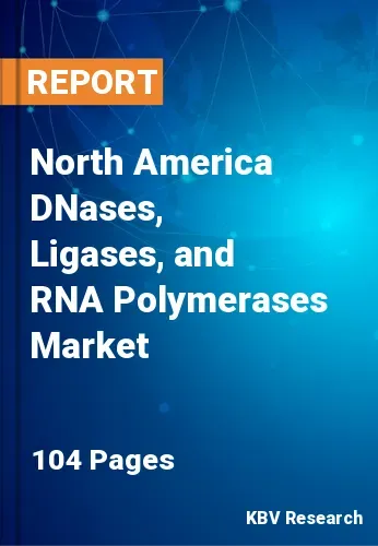 North America DNases, Ligases, and RNA Polymerases Market Size | 2031