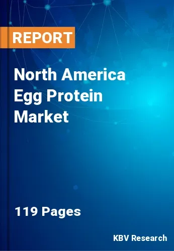 North America Egg Protein Market Size & Forecast to 2031