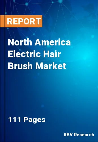 North America Electric Hair Brush Market Size | 2030
