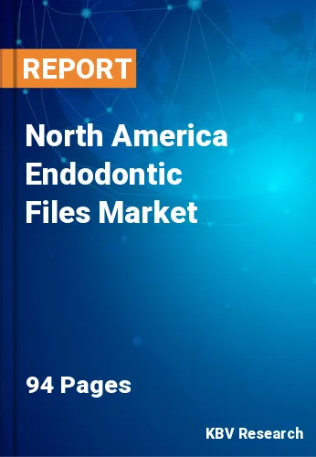 North America Endodontic Files Market Size & Share by 2030
