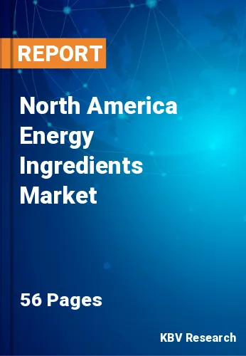 North America Energy Ingredients Market Size & Share to 2028