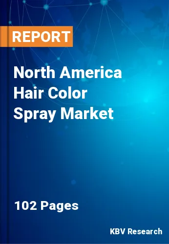 North America Hair Color Spray Market Size Data Set | 2030