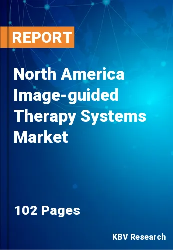 North America Image-guided Therapy Systems Market