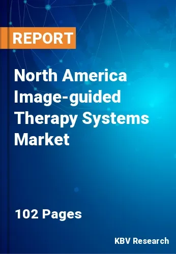 North America Image-guided Therapy Systems Market Size 2028