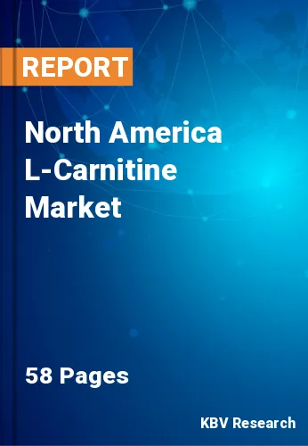 North America L-Carnitine Market Size & Share Report 2025