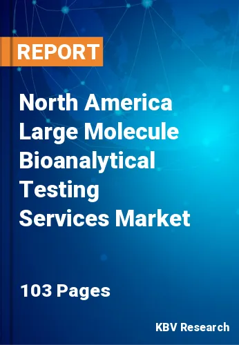 North America Large Molecule Bioanalytical Testing Services Market Size, 2028