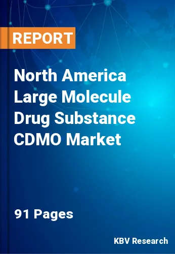 North America Large Molecule Drug Substance CDMO Market Size, 2028