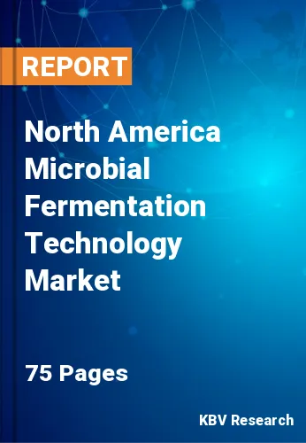 North America Microbial Fermentation Technology Market Size, 2028