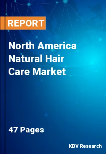 North America Natural Hair Care Market