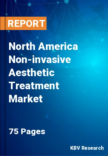 North America Non-invasive Aesthetic Treatment Market Size, 2027
