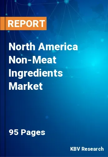 North America Non-Meat Ingredients Market Size, Share, 2028