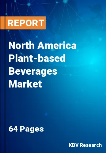 North America Plant-based Beverages Market Size, Share, 2028