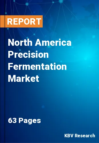 North America Precision Fermentation Market