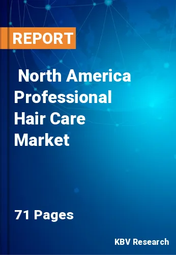  North America Professional Hair Care Market Size, Analysis, Growth