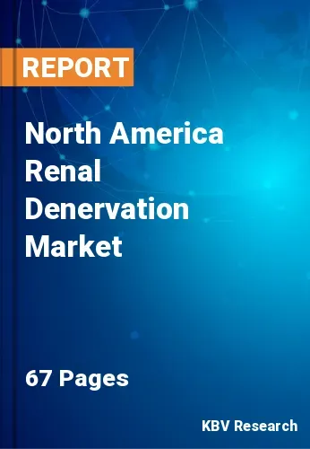 North America Renal Denervation Market Size & Share to 2028