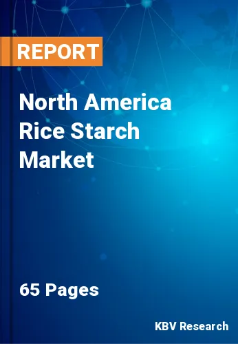 North America Rice Starch Market Size, Share & Trends to 2028