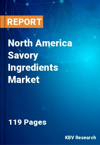 North America Savory Ingredients Market Size & Analysis 2031