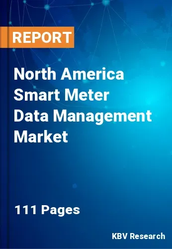 North America Smart Meter Data Management Market