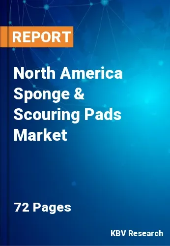 North America Sponge & Scouring Pads Market Size, 2022-2028