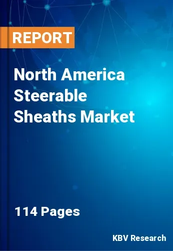 North America Steerable Sheaths Market Size & Forecast 2031