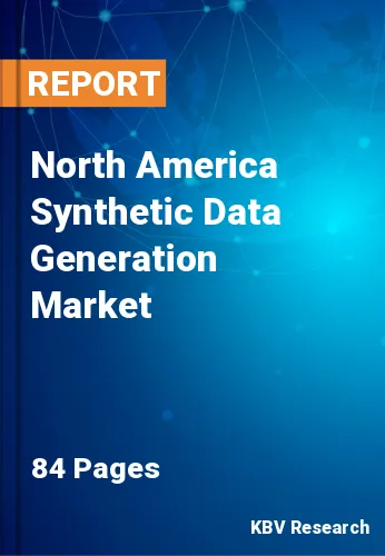 North America Synthetic Data Generation Market