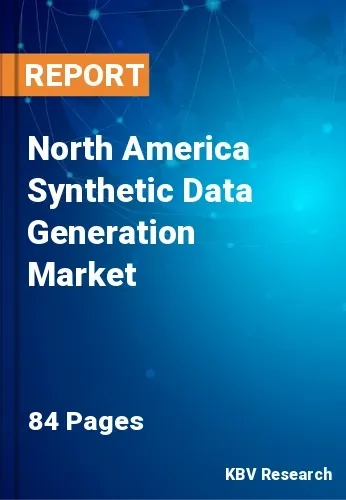 North America Synthetic Data Generation Market