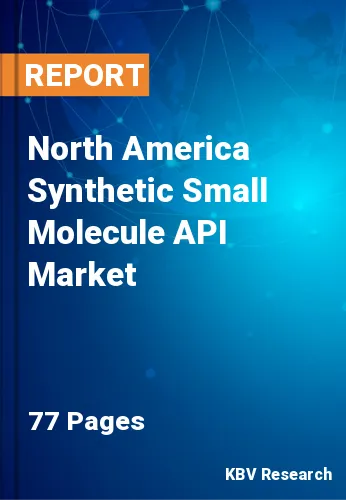 North America Synthetic Small Molecule API Market Size, 2028