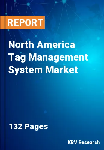 North America Tag Management System Market Size Report 2030
