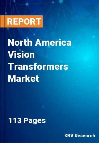 North America Vision Transformers Market Size & Share, 2030