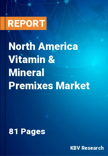 North America Vitamin & Mineral Premixes Market Size, 2028