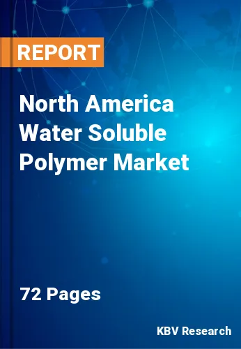 North America Water Soluble Polymer Market Size Report by 2019-2025