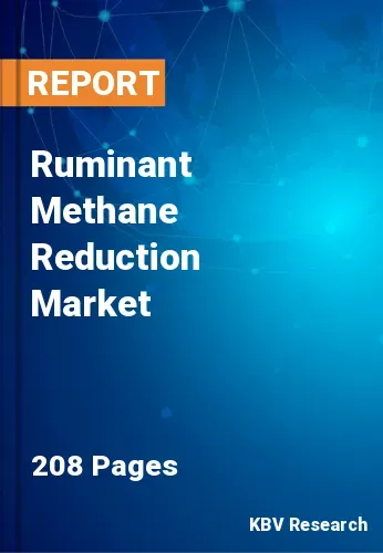 Ruminant Methane Reduction Market Size & Forecast | 2031