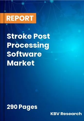 Stroke Post Processing Software Market Size | Share 2031