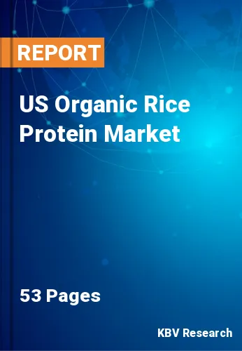 US Organic Rice Protein Market Size & Industry Growth 2030