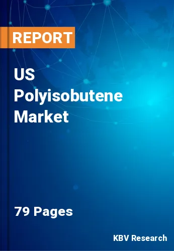 US Polyisobutene Market Size & Share Growth Analysis 2030