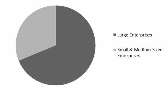 Application Transformation Market Share