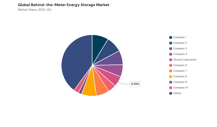 Behind-the-Meter Energy Storage Market share analysis Behind-the-Meter Energy Storage Market share analysis