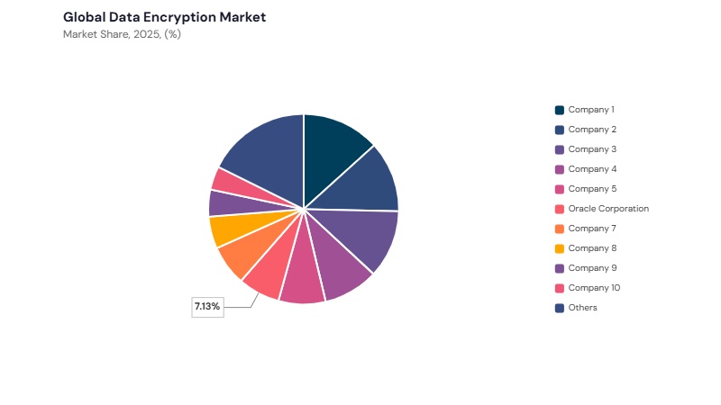 Data Encryption Market share analysis
