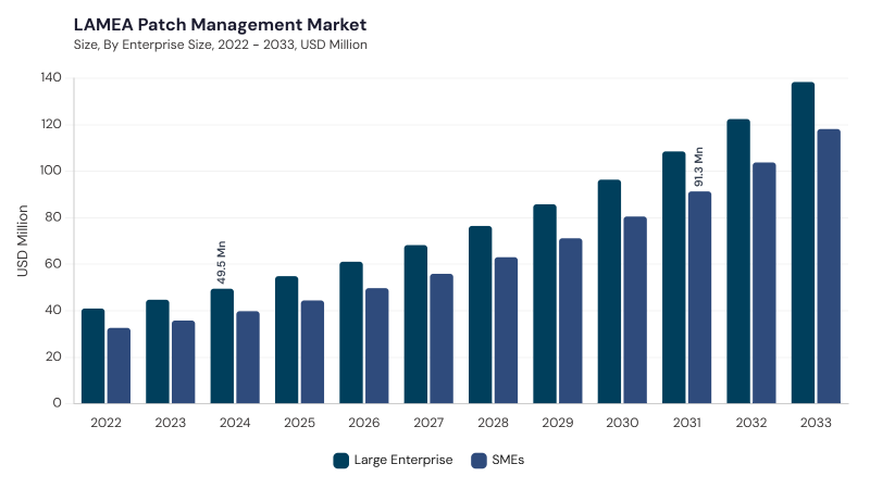 LAMEA Patch Management Market segment size and growth forecast LAMEA Patch Management Market segment size and growth forecast