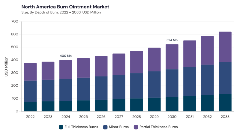 North America Burn Ointment Market size and growth forecast (2022-2033) North America Burn Ointment Market size and growth forecast (2022-2033)