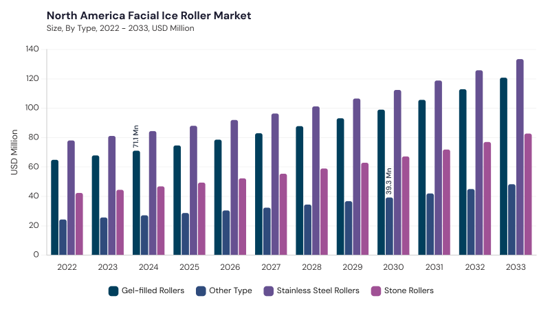 North America Facial Ice Roller Market segment size and growth forecast North America Facial Ice Roller Market segment size and growth forecast
