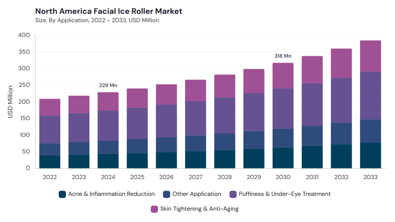 North America Facial Ice Roller Market size and growth forecast (2022-2033) North America Facial Ice Roller Market size and growth forecast (2022-2033)