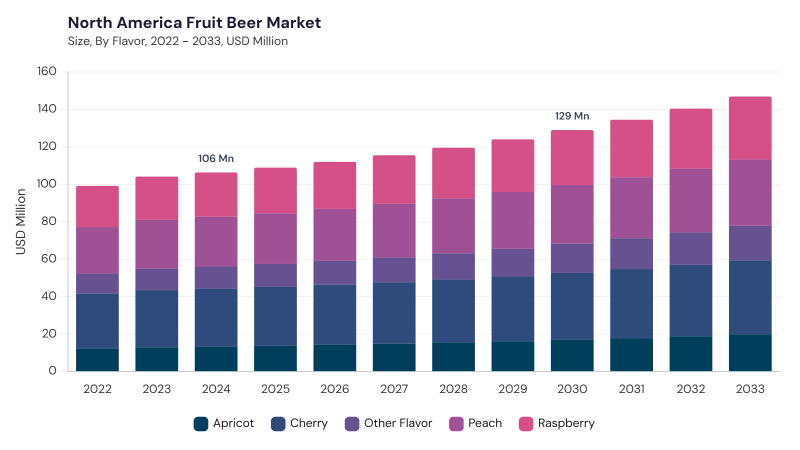 North America Fruit Beer Market size and growth forecast (2022-2033) North America Fruit Beer Market size and growth forecast (2022-2033)