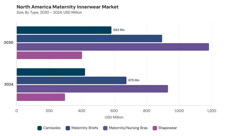 North America Maternity Innerwear Market size and growth forecast (2022-2033) North America Maternity Innerwear Market size and growth forecast (2022-2033)