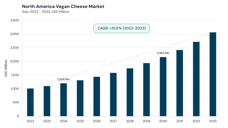 North America Vegan Cheese Market size and growth forecast (2022-2033) North America Vegan Cheese Market size and growth forecast (2022-2033)