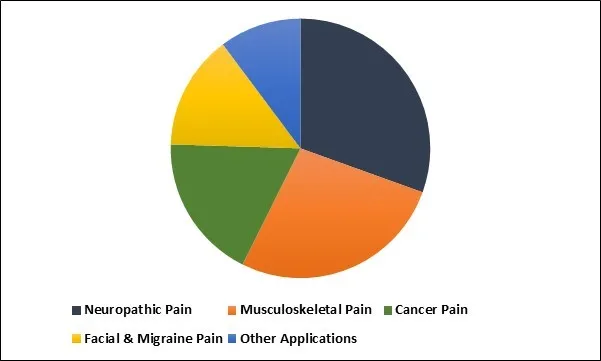 Pain Management Devices Market Share Pain Management Devices Market Share