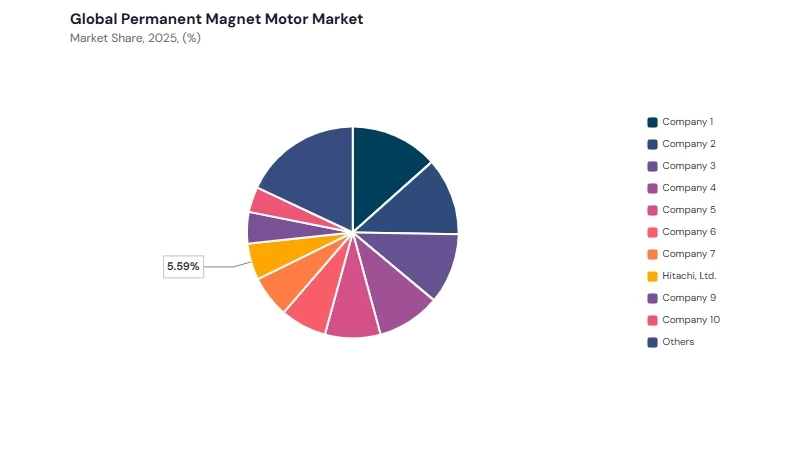 Permanent Magnet Motor Market share analysis