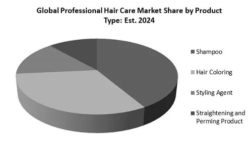 Professional Hair Care Market Share