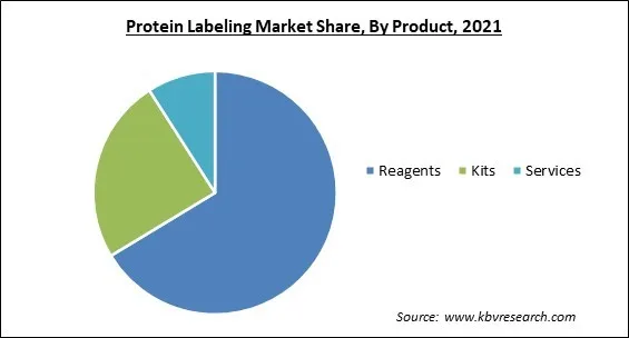Protein Labeling Market Share and Industry Analysis Report 2021 Protein Labeling Market Share and Industry Analysis Report 2021
