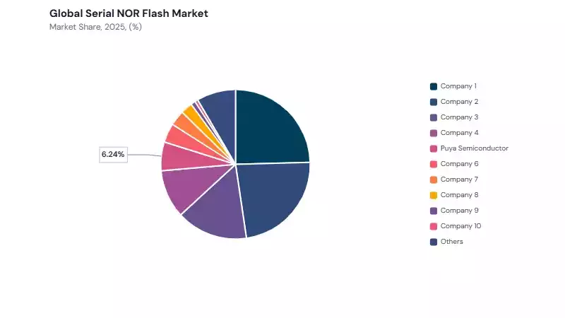 Serial NOR Flash Market share analysis